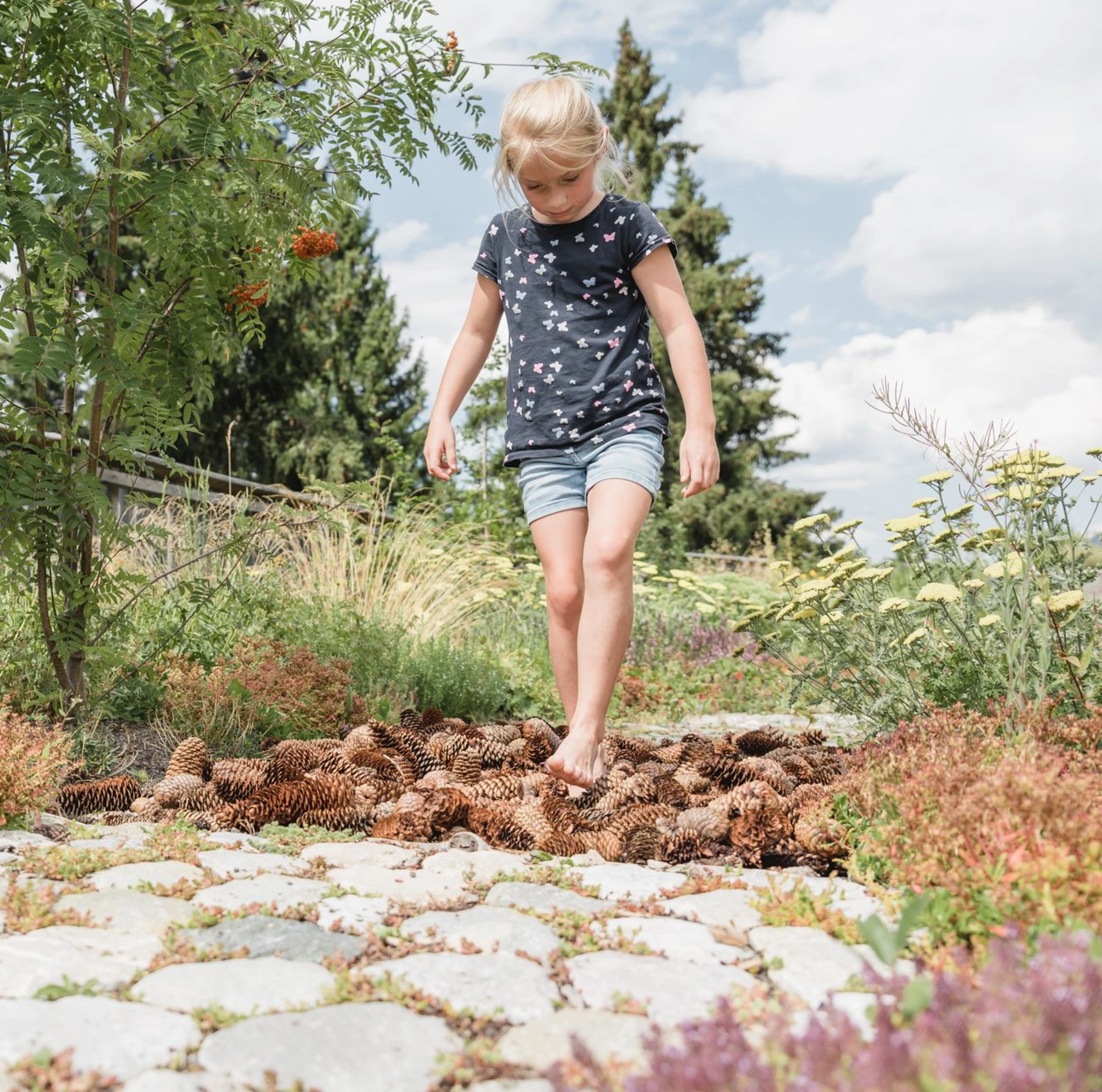 Alpenkräuter, Bio Kräuter, natürlich, naturbelassen