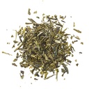 Bio Grüntee Sencha 14x1.3g