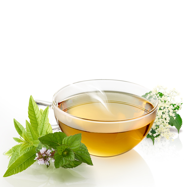Bio Tee Alpenkräuter 10x1g