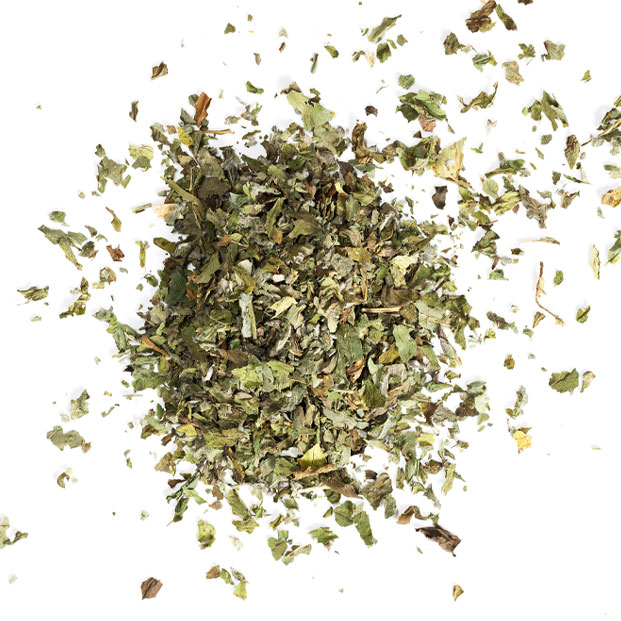 Bio Tee Bergfrische Minze 14x1g