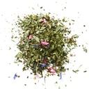 Bio Tee Traumhafter Abend 14x1g