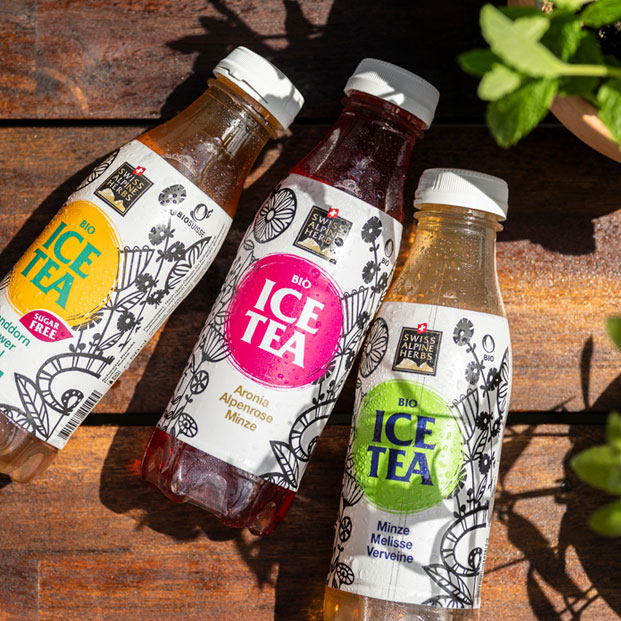 Bio Ice Tea Alpenkräuter 50cl
