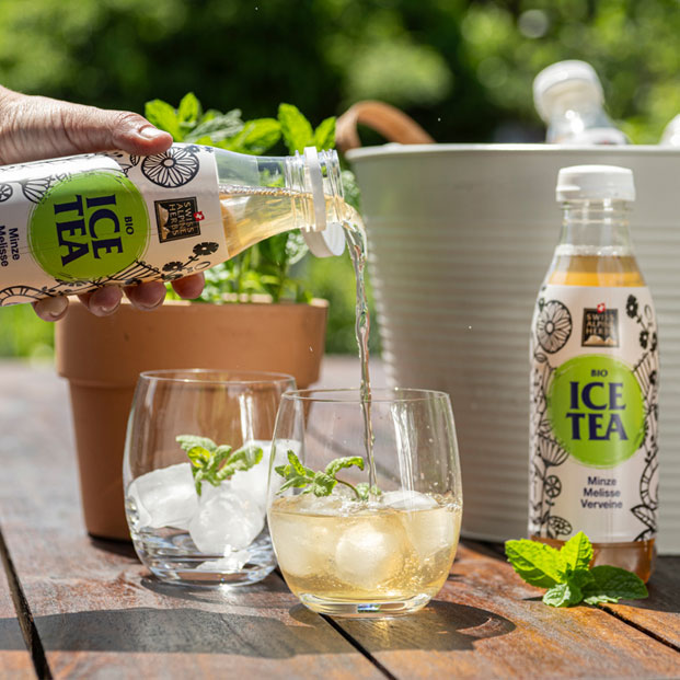 Bio Ice Tea Alpenkräuter 10l