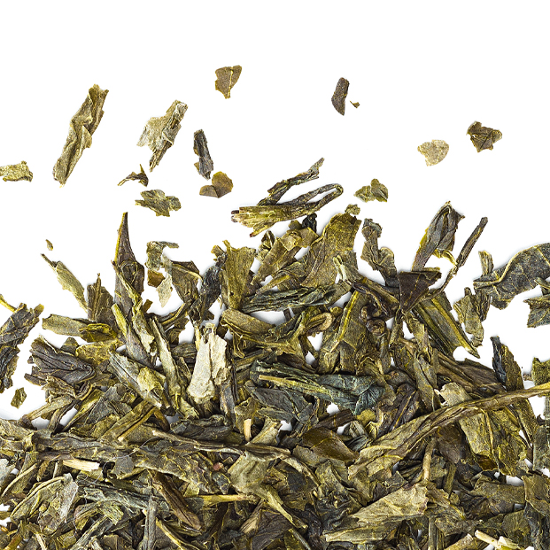 Bio Grüntee Sencha 14x1.3g