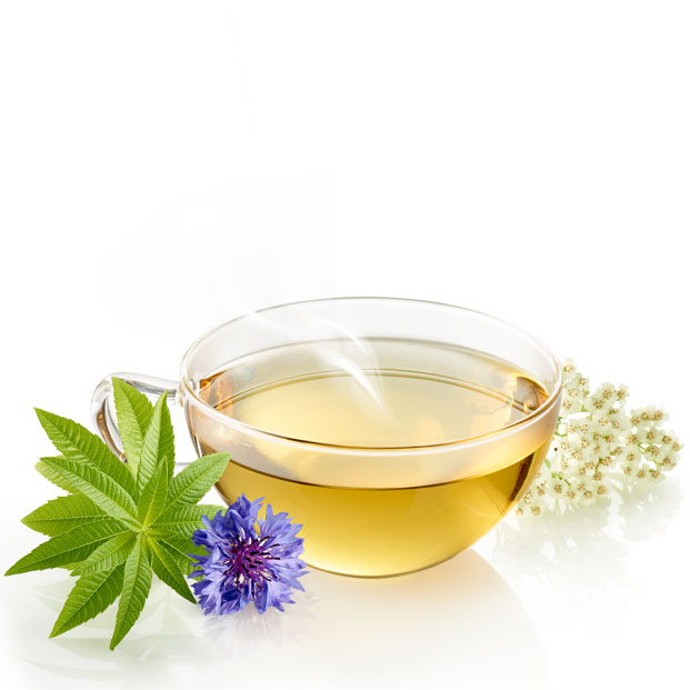 Bio Tee Traumhafter Abend 10x1g