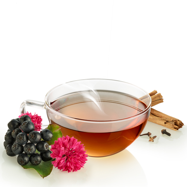 Bio Tee Alpenfeuer 24x1g