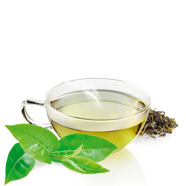 gruentee-teetasse-bio.webp