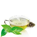 gruentee-teetasse-bio.webp