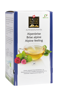 Bio Tee Alpenbrise 24x1g